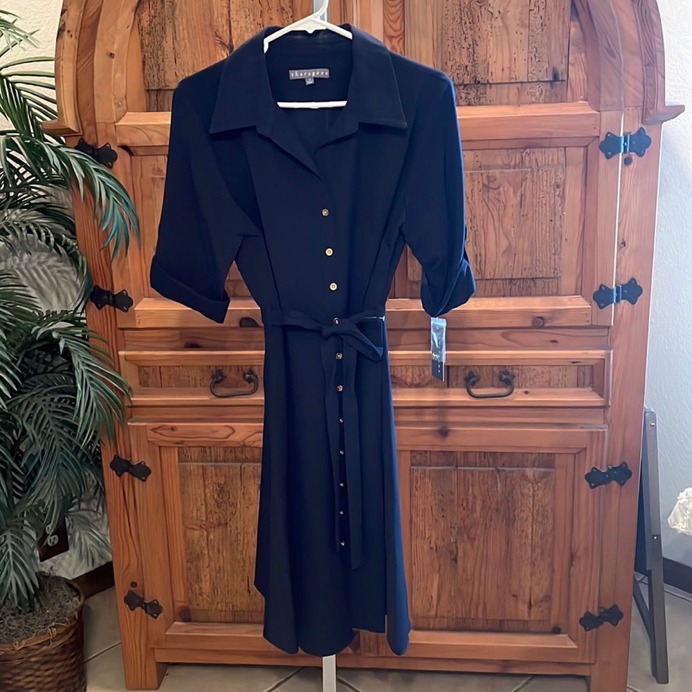 Sharagano Dress